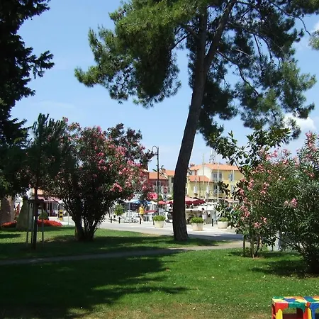 Ana A2 , 40 M2 *